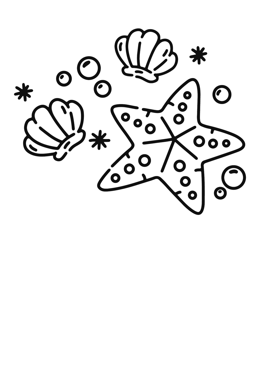 Seashells 1